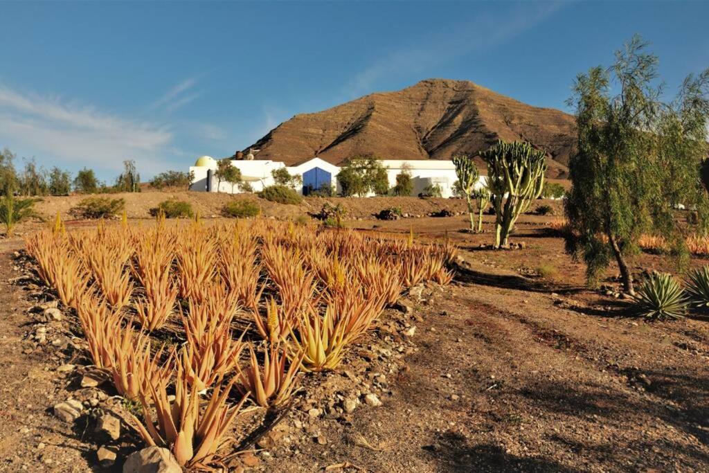 Tranquila Tierra - Eco Retreat Finca Artis Tirma Tarajalejo Exterior photo